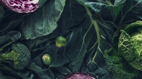Dark background with winter vegetables high in antioxidants, minerals and vitamins: Collard greens, broccoli, Brussels sprouts, red cabbage and kale. Flat lay. Food concept. Agricultural products.