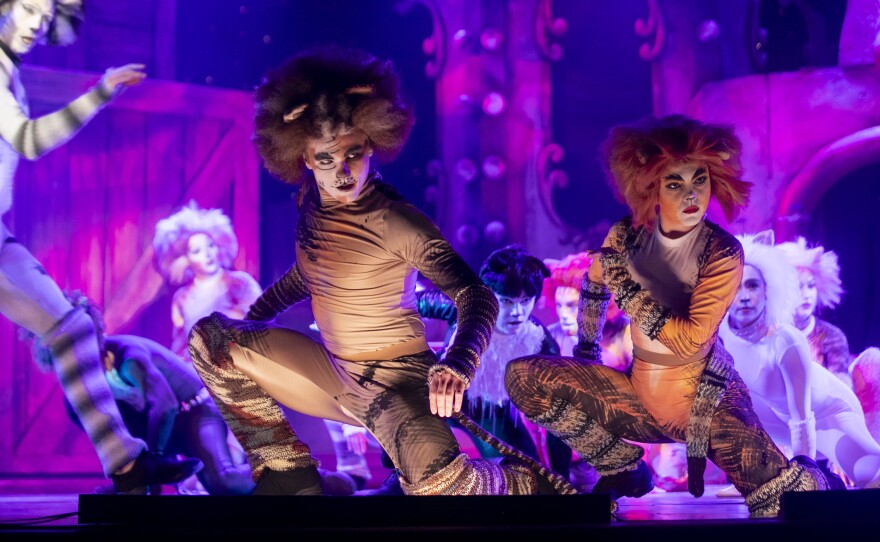 Cast members of CATS perform during a dress rehearsal on Wednesday, Feb. 18, 2026, at Broadway Palm Dinner Theater in Fort Myers.