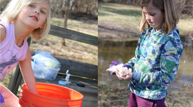 Ava and Izzy Calsbeek, two sisters from Hanover, N.H., published their research on wood frog eggs with their dad, Ryan Calsbeek, a professor of biological sciences at Dartmouth College.