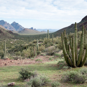Organ Pipe Cactus National Monument, an International Biosphere Reserve along the U.S.-Mexico border, where some park rangers from around the West have been deployed to boost law enforcement.