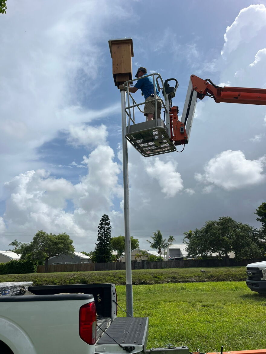 Zoo Miami veterinarian and wildlife conservation director Frank Ridgely installs a bonneted bat house.