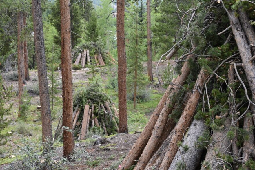 Piles of logs, branches and needles sit in the forest where crews have done fuel mitigation work on private land in Keystone. Three private landowners worked with Summit Fire & EMS to do fuel mitigation work on their adjoining properties.