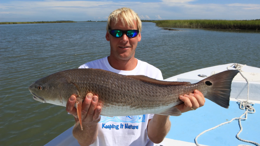 Shane Ziegler, co-founder, owner, and operator of Barrier Island EcoTours at the Isle of Palms, SC