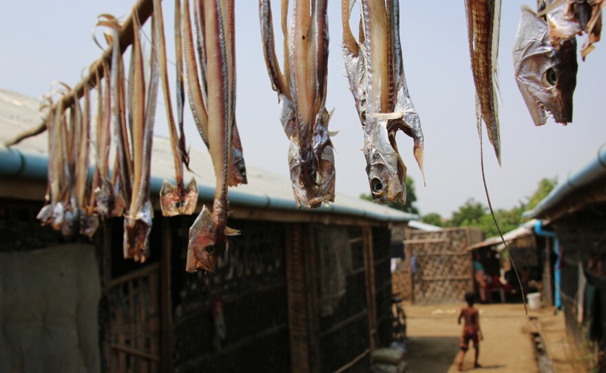 Fish dry in the sun at a Rohingya camp outside Sittwe. The camp's bamboo houses are only meant to last two or three years, and the international aid agencies that built them had no intention of creating permanent settlements.