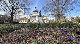 The South Carolina Statehouse on Feb. 10 , 2026.