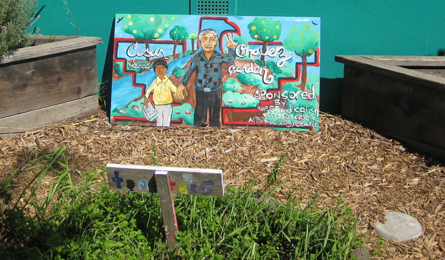 César Chávez School Garden