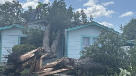 After severe storms felled trees and caused power outages, residents from the West Side clean up. Here, a crew removes a massive pecan tree from one side of a house on Morales Street on San Antonio's West Side