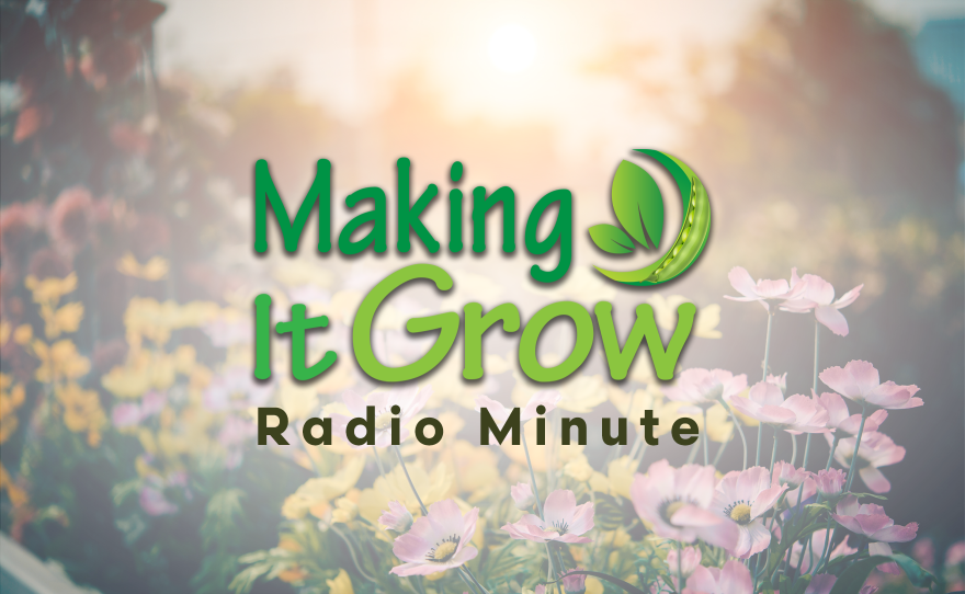 Making It Grow Radio Minute