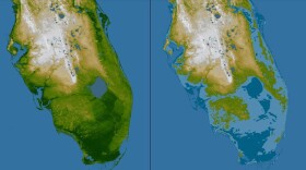 For the view on the right, elevations below 16 feet above sea level have been colored dark blue, and lighter blue indicates elevations below 33 feet. This is an illustration of how Florida's low topography make it vulnerable to flooding