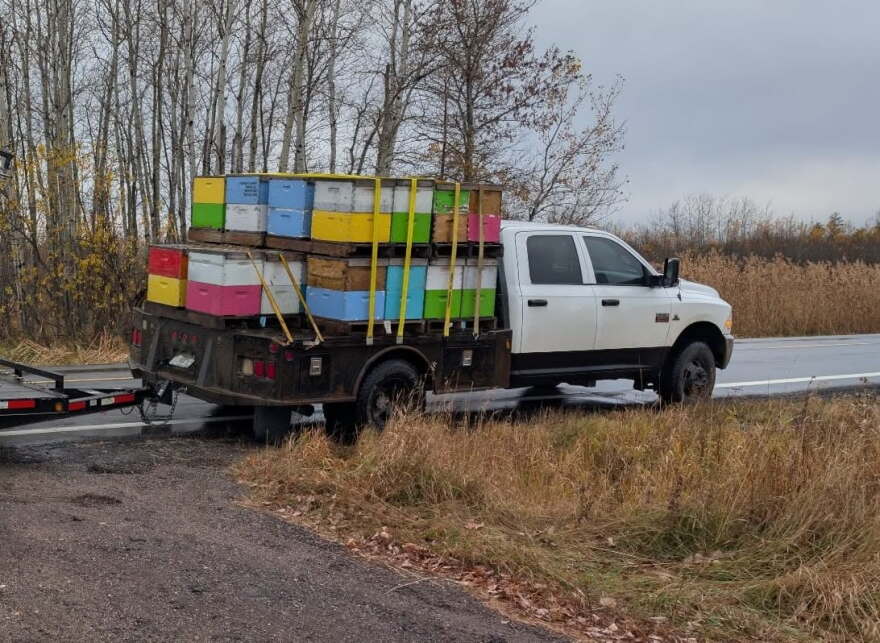 A truck hauls colorful bee hive boxes.
