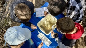 A group of Missoula fifth graders cluster around a bin full of river water — and crawling with invertebrates of all shapes and sizes. The students took stock of the species and numbers and used the data to weigh how healthy the Clark Fork River is.