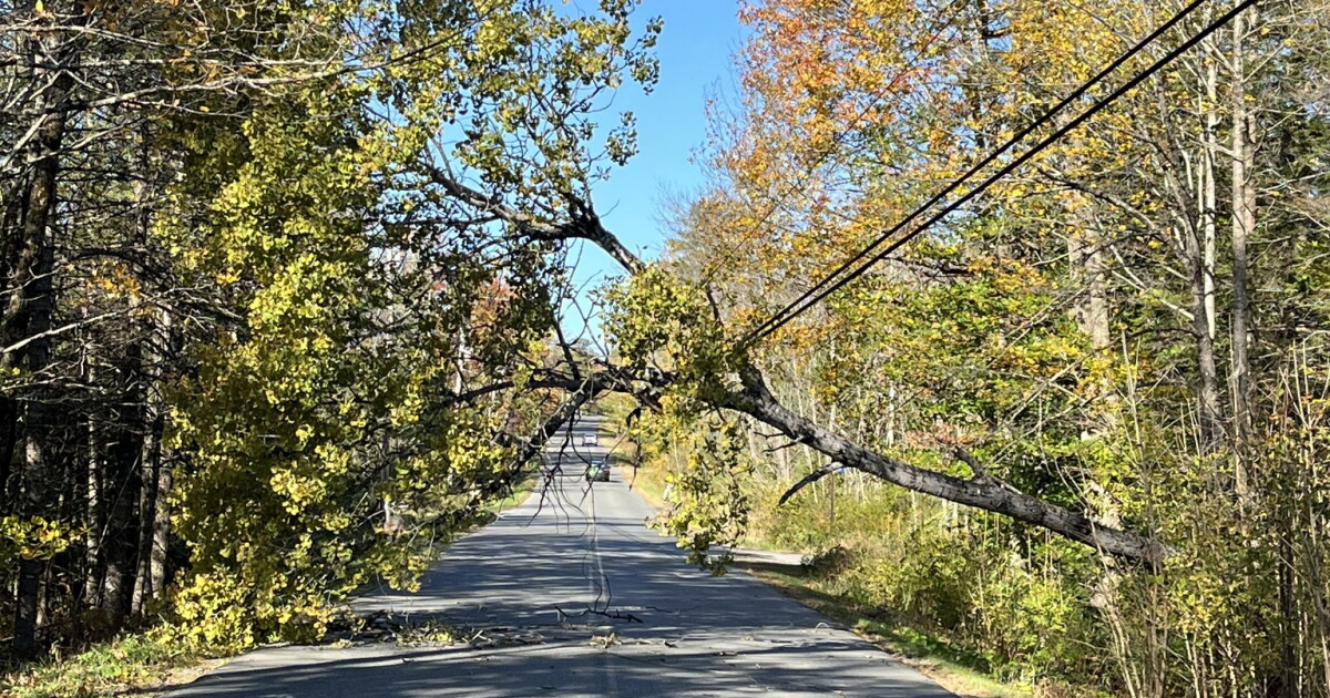 Thousands of Maine residents without power after high winds knock trees ...