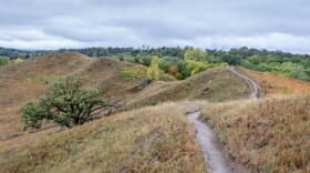 Picture of rolling hills of brown prairie grass. There is a tree to the left, a dirt trail in the middle and to the right a grove of many trees. Some have dark green leaves, others lighter green.