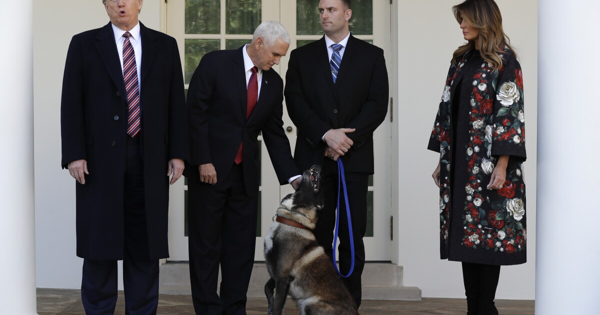 Met Opera Map Conan, The Military Dog Who Helped Kill ISIS Leader, Honored At White ...