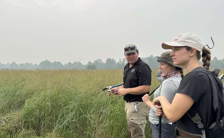 Ohio conservationists hope to help revive populations of a rattlesnake native to Ohio.