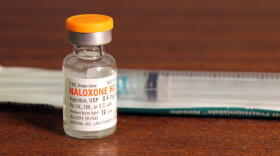 Remote training sessions include stigma reduction and naloxone access.