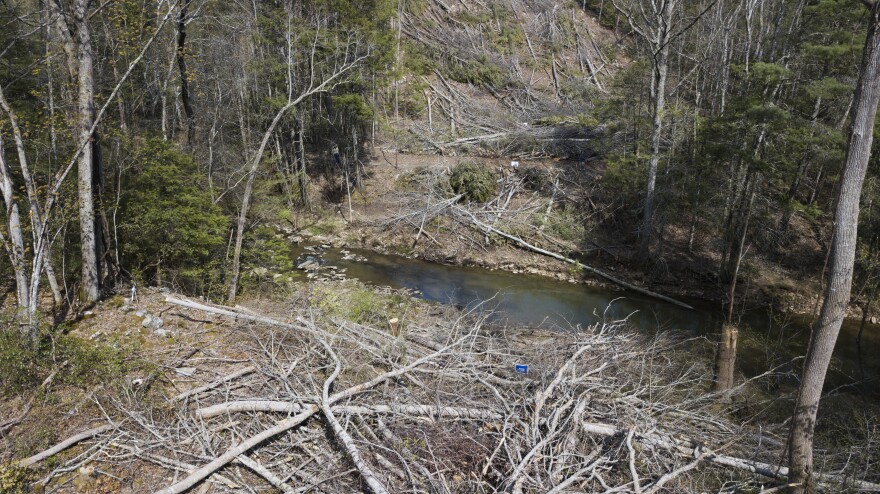 In this Thursday, May 3, 2018 photo, downed trees mark the route of the proposed Mountain Valley pipeline in Lindside, W.Va.