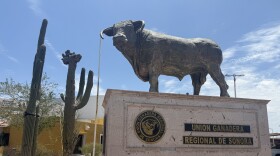 A statue of a bull outside the Sonora cattle ranchers' union headquarters.