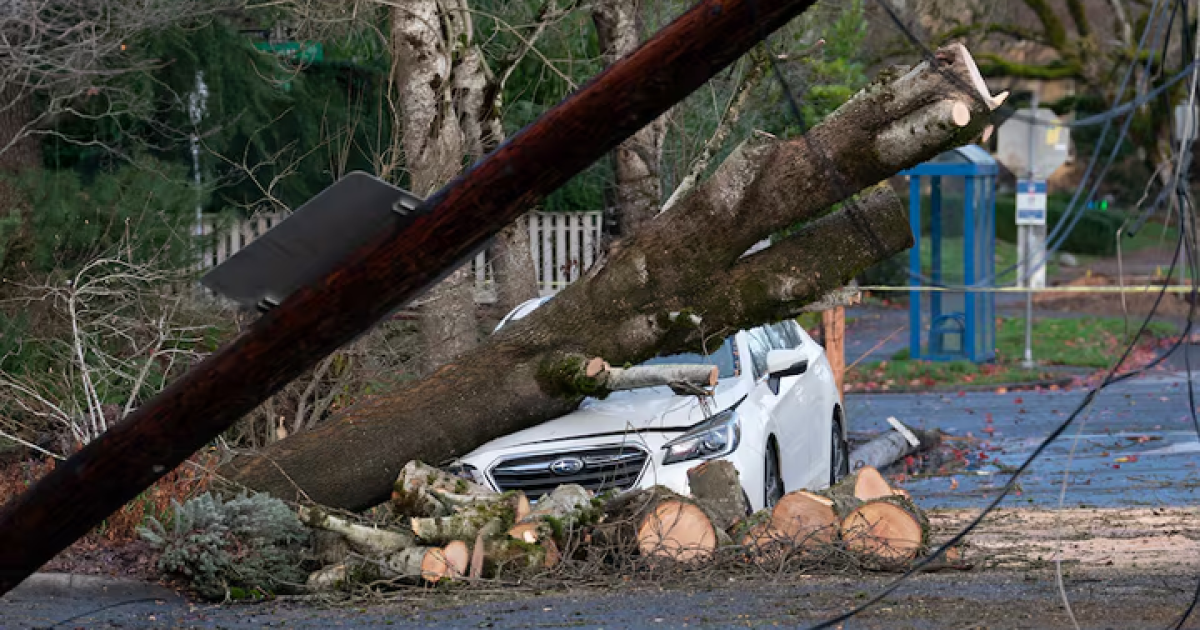 Oregon, SW Washington brace for a possible windstorm on Christmas Eve