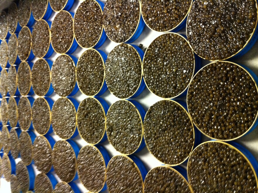 Containers filled with caviar.