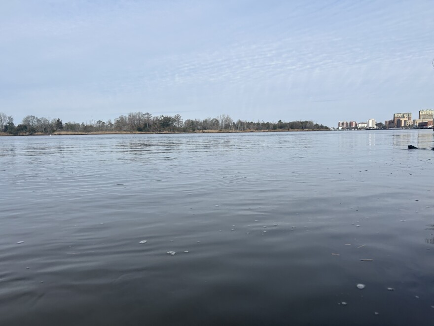Looking north up the Cape Fear River, downtown Wilmington is in the distance.