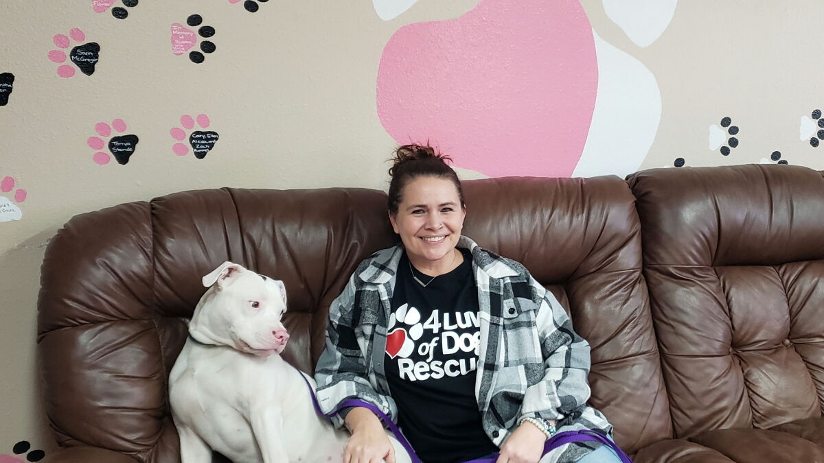 4 Luv of Dog Rescue, Tom Isern-'Flash Pictures,' MHA Nation, BirdNote - Vimarsana News