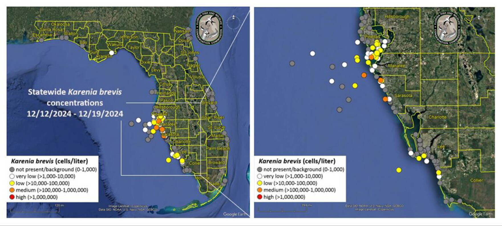 Red tide is hanging around St. Pete and mouth of Tampa Bay WUSF