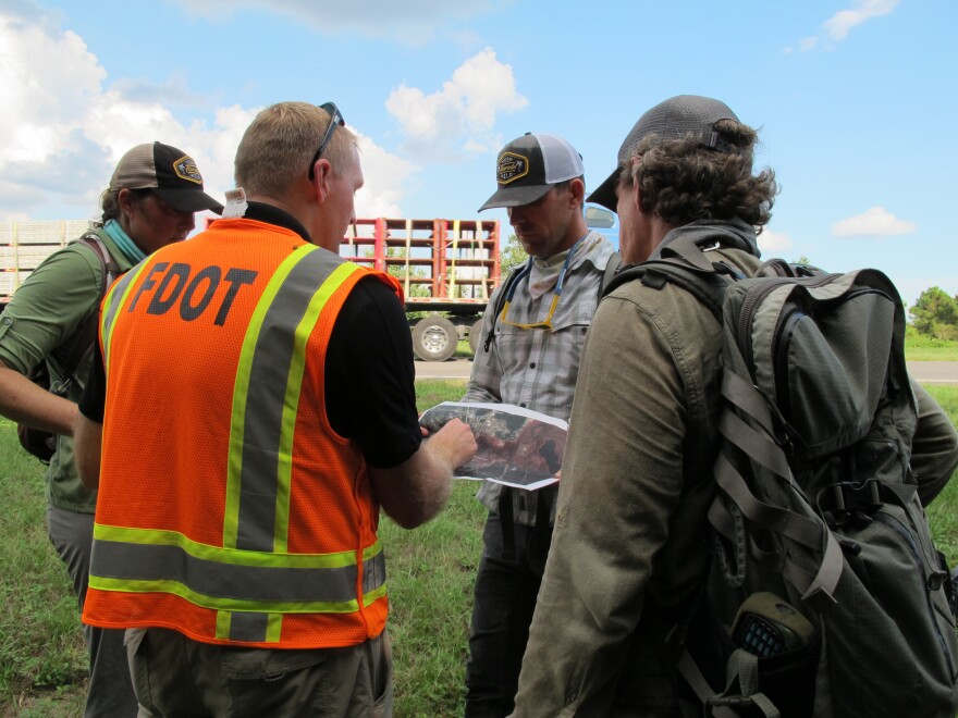 Florida Wildlife Corridor Expedition