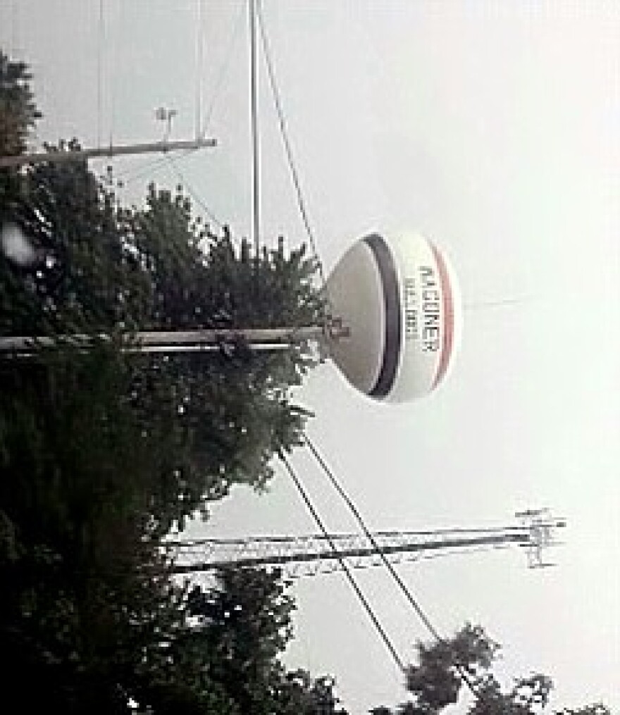 The Wagoner Water Tower
