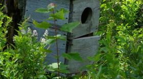 A wood duck box.