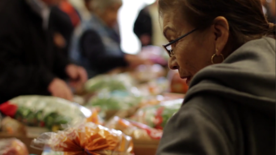 Person with food items