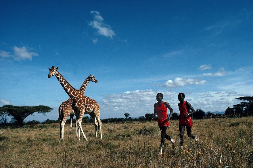 Kenyan marathon runners Kipkoech and Charles Cheruiyot run past giraffes in Leifer's 1984 scenic portrait. Nanyuki, Kenya 1984. Photo from <em>Relentless: The Stories behind the Photographs,</em> by Neil Leifer with Diane K. Shah (University of Texas Press, 2016)