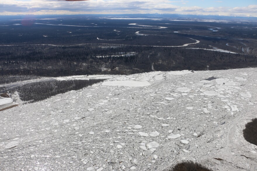 Ice is seen held in place on the Kuskokwim River downriver from Aniak on May 8, 2026.