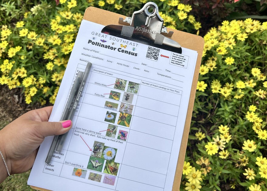 A counting sheet on a clipboard helps volunteers identify the insects they should record.