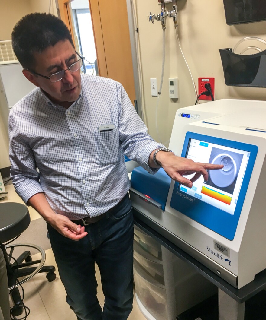 Shoukhrat Mitalipov points to an image of an edited embryo inside an incubator at the Center for Embryonic Cell and Gene Therapy in Portland, Ore.