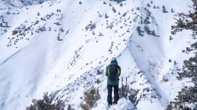 Skier looks over the terrain at Powder Mountain.