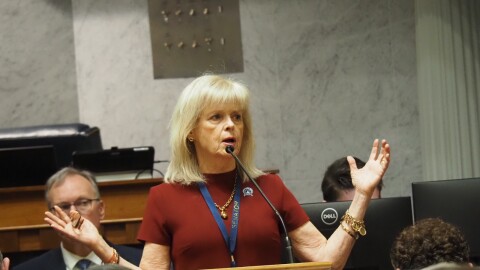 Sen. Liz Brown, R-Fort Wayne, speaks against a bill that could lead to a new casino license in her district, on Tuesday, Feb. 24, 2026.