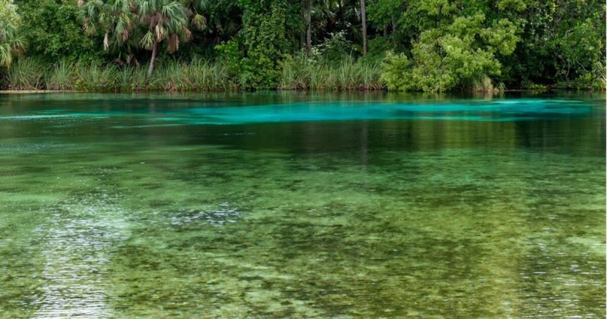 'Stop issuing every single permit,' advocates say. Will Florida protect its fragile springs?