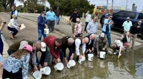 Southern Flounder Release in South Carolina estuaries, taking place in Murrells Inlet.