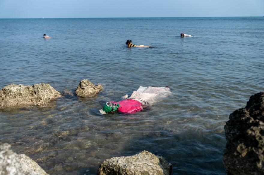 On the beach on Pamban island, the seaweed gatherers go out only 12 days every month, collecting a week after the new moon and a week before the full moon. This is when the tides are weaker, the waters gentler and more conducive for seaweed gathering. There's a gap of nine days between cycles to allow the seaweed to regenerate.