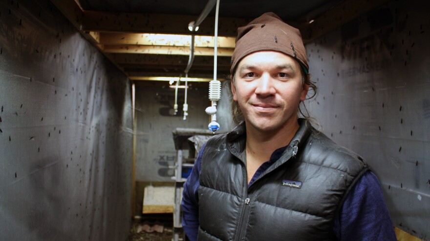 Phil Taylor hopes his startup, Mad Agriculture, can use insects to help cut food waste.