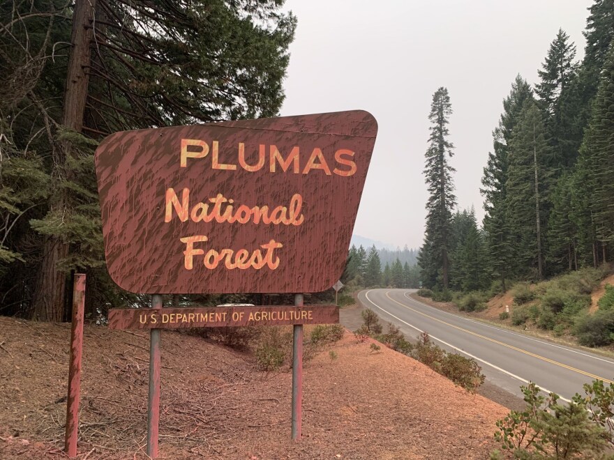 A brown sign with yellow lettering that reads “Plumas National Forest.” The sign and ground are covered in a dried pink liquid, and there’s a paved road next to the sign. Both the sign and road are surrounded by thick, forested trees.