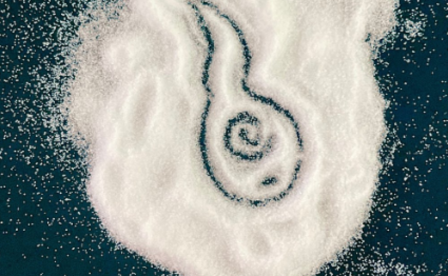 The underside of a tadpole drawn in salt is used to symbolize the salty frog lab