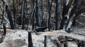 High winds and higher temperatures Sunday have fire watchers looking at conditions similar to Labor Day weekend. That's when several wildfires, including the massive Bastrop County Complex fire, started.