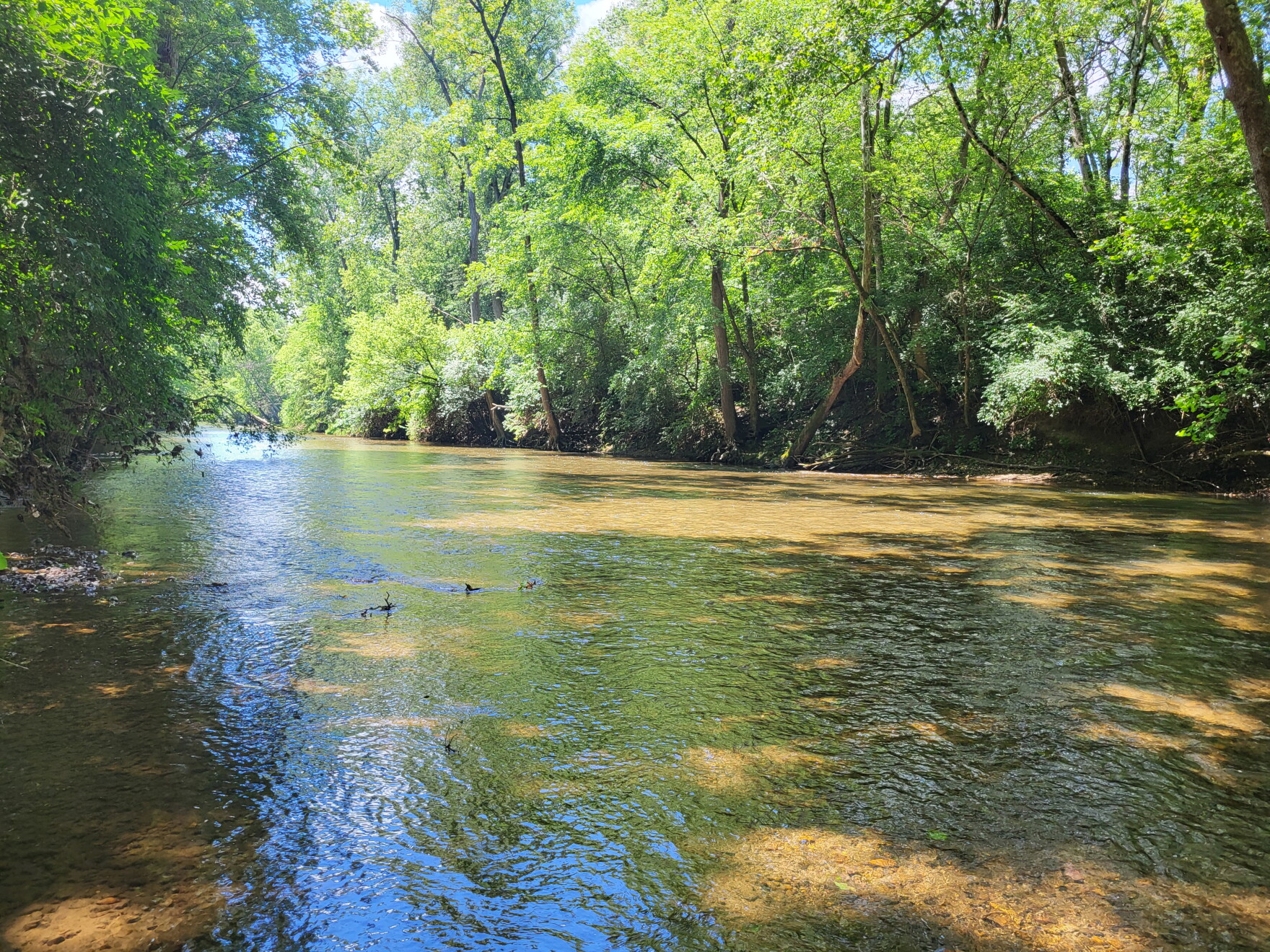 Mad Raver Picture How a family retreat became a public park along Mad River | WYSO