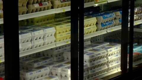 A refrigerated grocery store shelf is stocked with multiple rows of eggs in cardboard and plastic cartons of various sizes and brands, neatly arranged behind glass doors—unlike the recent shutdown debates between Illinois Democrats and Republicans.