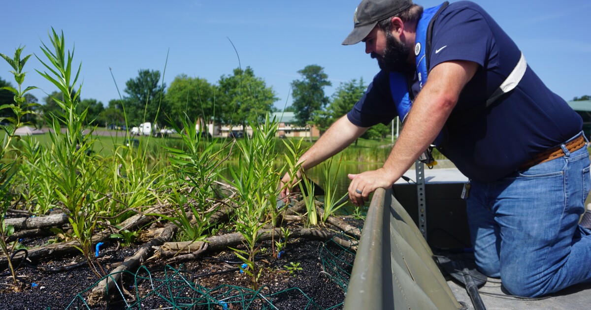 Floating wetlands are helping Missouri lakes stay healthy and keep out algae and pollutants