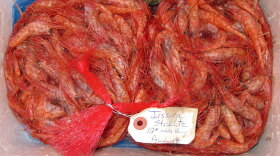 If you're not close enough to New England to pick up fresh Maine shrimp yourself, you can have them shipped to your door.