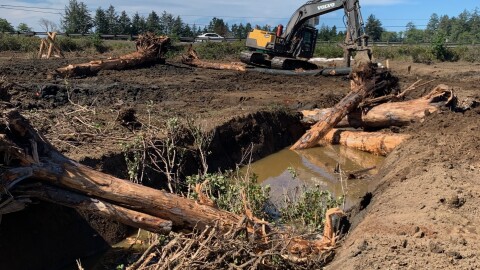A $1.5 million habitat restoration project spearheaded by the MidCoast Watershed Council and the U.S. Fish and Wildlife Service on the Siletz Bay National Wildlife Refuge receives final touches during the construction phase as crews add large wood debris to serve as habitat for fish and wildlife.