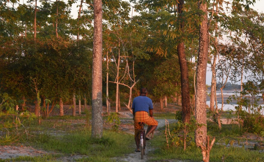 Jadev Payeng cycling back to his boat at day's end.
